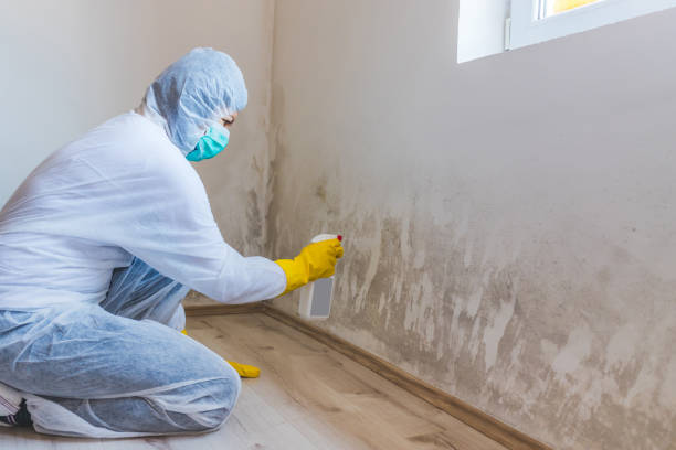 Best Commercial Mold Removal  in Bren Arrow, OK