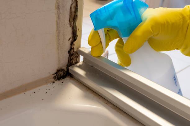 Best Local Mold Removal Service  in Bren Arrow, OK