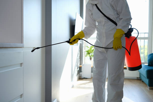 Best Office Mold Removal Services  in Bren Arrow, OK