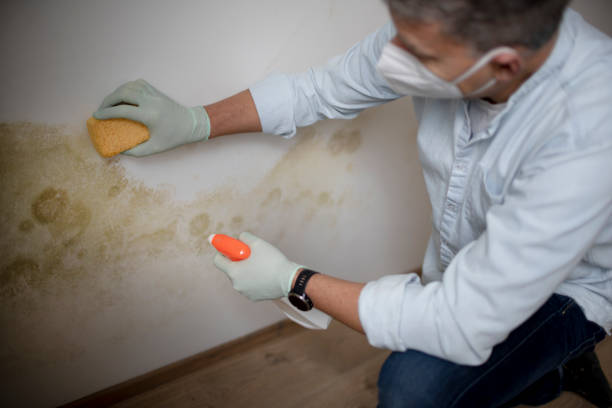 Best Certified Mold Removal  in Bren Arrow, OK