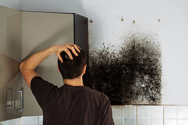 Trusted Broken Arrow, OK Mold Removal Experts